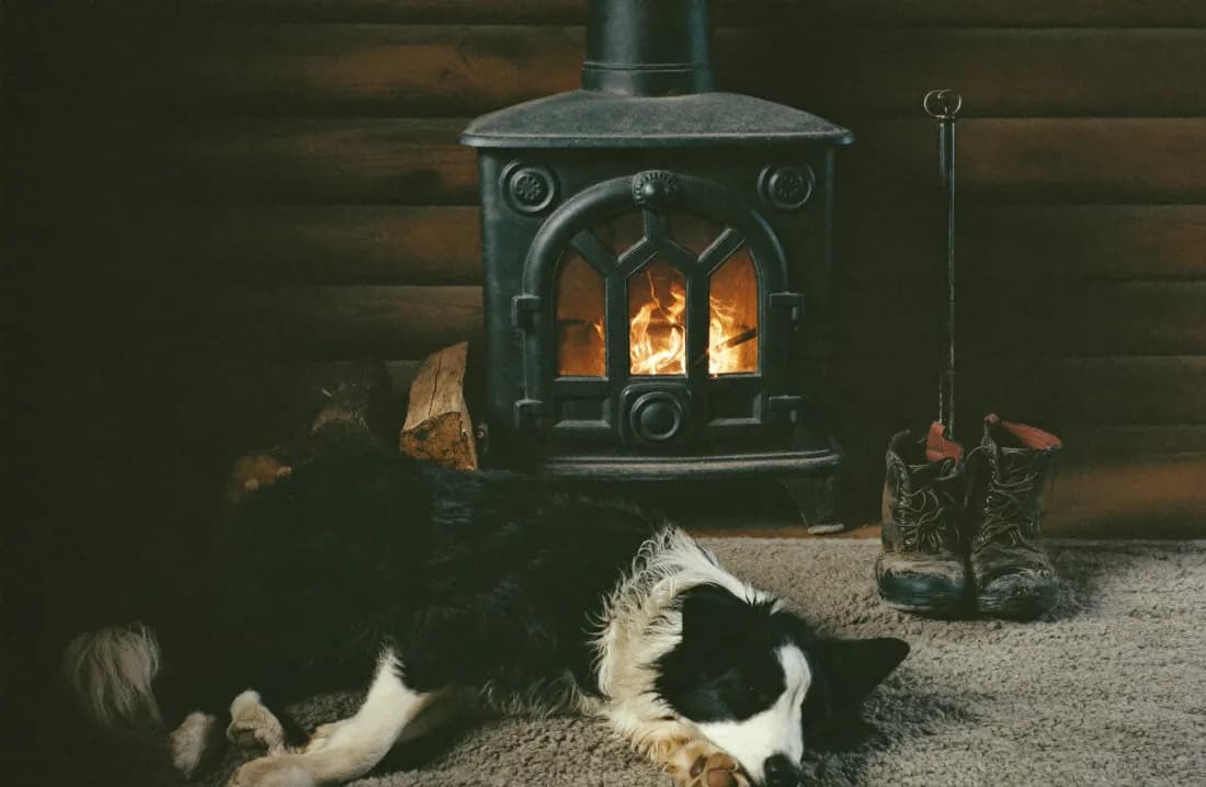 A wet border collie asleep on a sheepskin rug in front of a lit wood burner