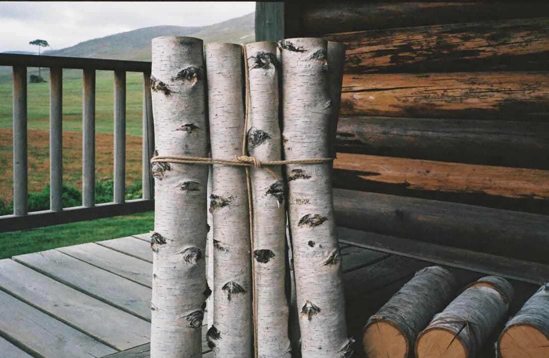 A bundle of split silver birch logs tied with twine on a weathered cabin porch