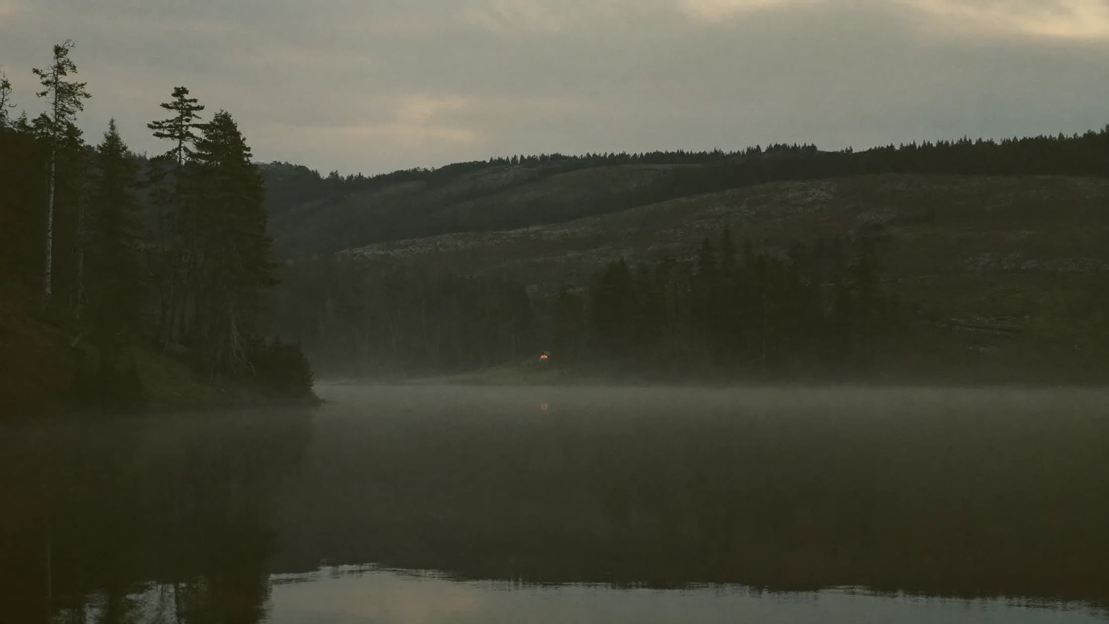 A still highland loch at dawn with mist on the water and dark pines along the far shore